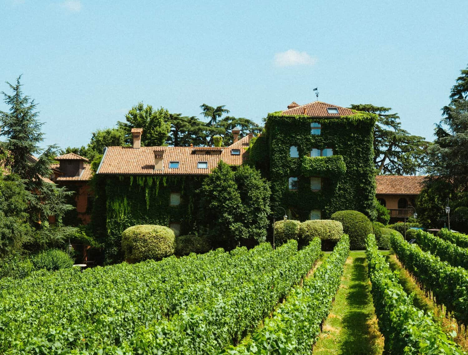 Viñedos y villa rodeada de naturaleza en el hotel de lujo L'Albereta 